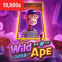 Đội ngũ hỗ trợ 24/7 98win10