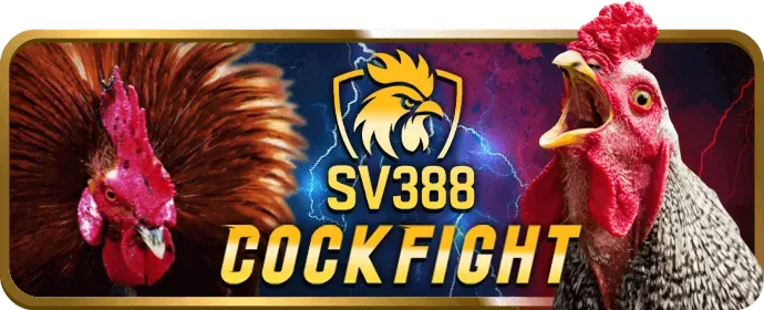 Ưu đãi và khuyến mãi 98win10